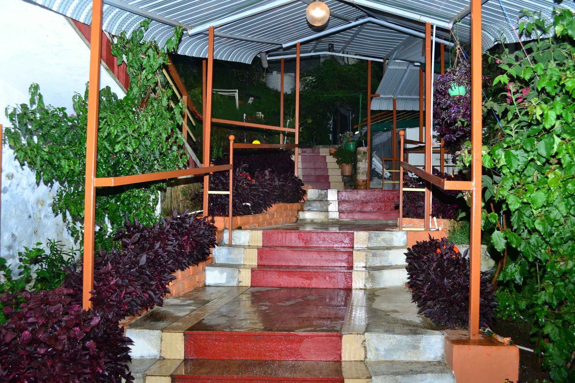Kodai Sunshine Resort Kodaikanal Bagian luar foto